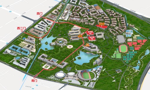 海参肽的功效和作用-【海参氨糖的功效和作用】海参肽粉的功效与作用及副作用 - 海参汰功效网